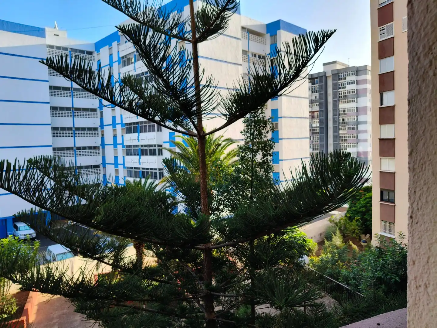 Apartament amb ascensor en venda a ROSARIO EL, imagen 30