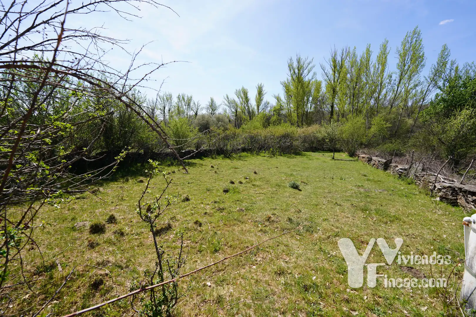 Terreno rústico en venta en Campillo de Ranas, imagen 8