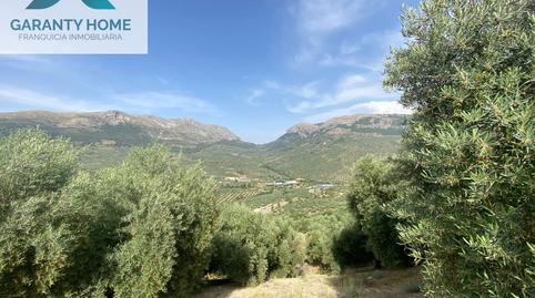 Photo 4 of Land for sale in Valdepeñas de Jaén, Jaén