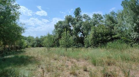 Foto 3 de Finca rústica en venta en La Fresneda, Teruel