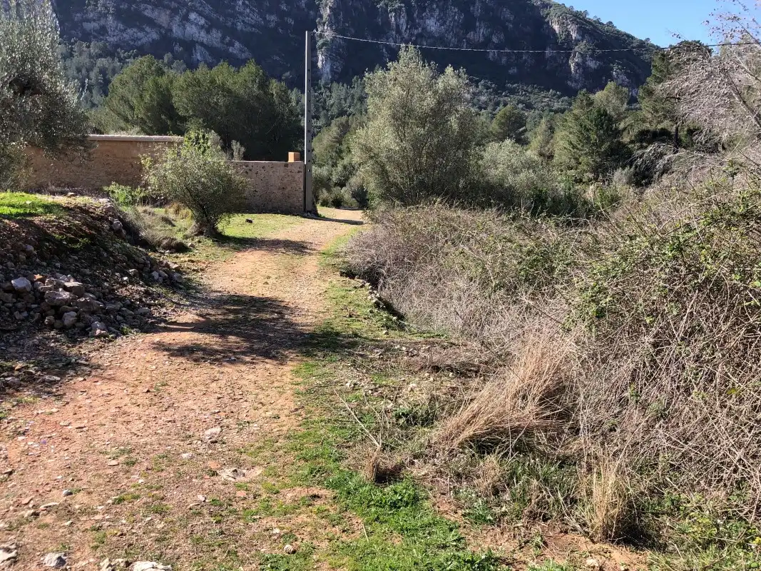 Terreny rústic en venda a Carrer de la Font, imagen 5