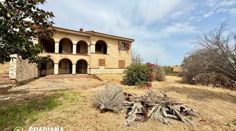 Foto 5 de Finca rústica en venta en Diseminados, 52, Villablanca, Huelva