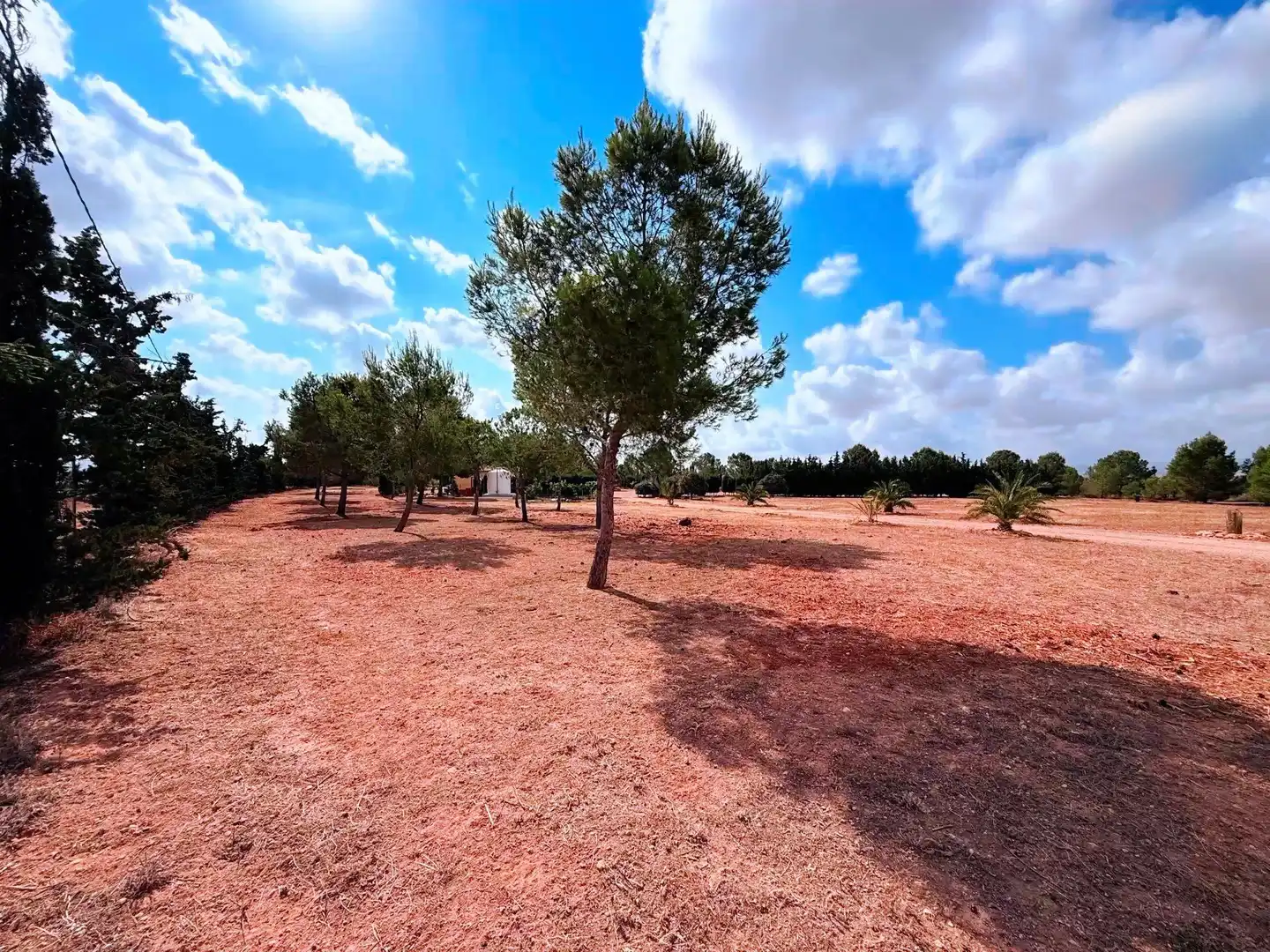 Finca rústica en venda en Murcia amb Piscina