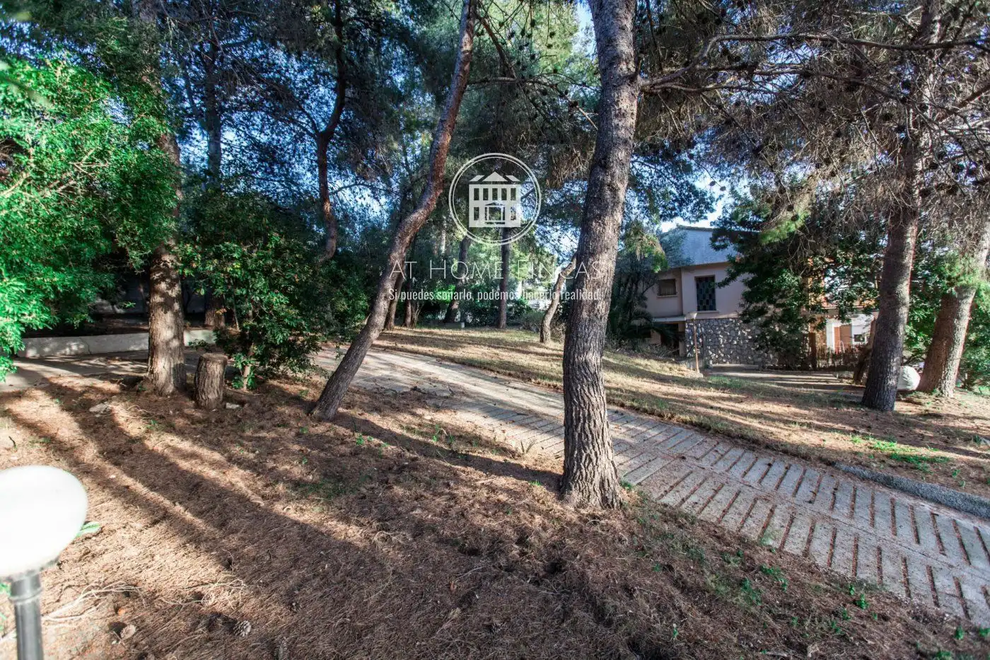 Terrain rustique à vendre à Mèxic, imagen 4