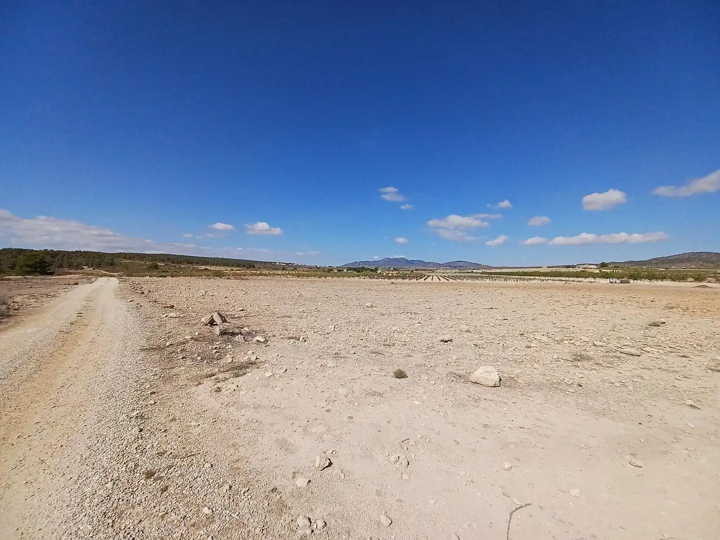 Terreny residencial en venda a El Pinós / Pinoso, imagen 3