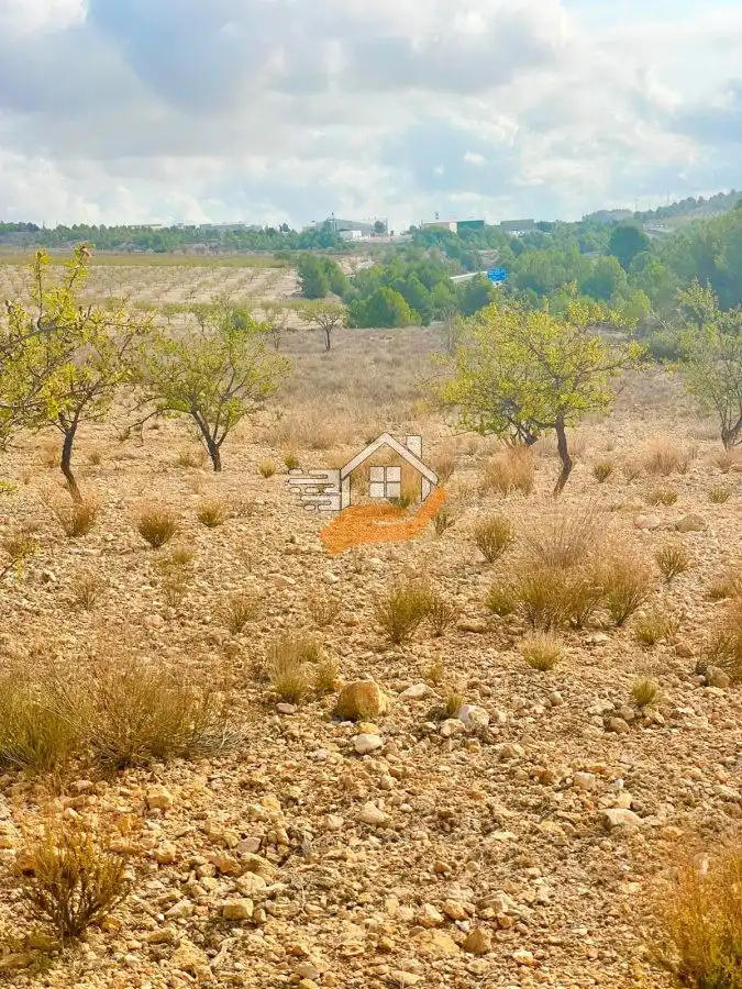 Terreny residencial en venda a Vélez-Rubio, imagen 9