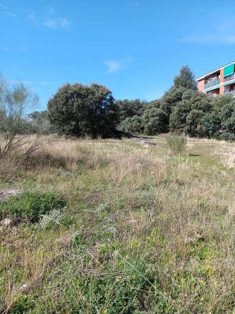 Terreno residencial en venta en Calle de Madrid 20, imagen 6