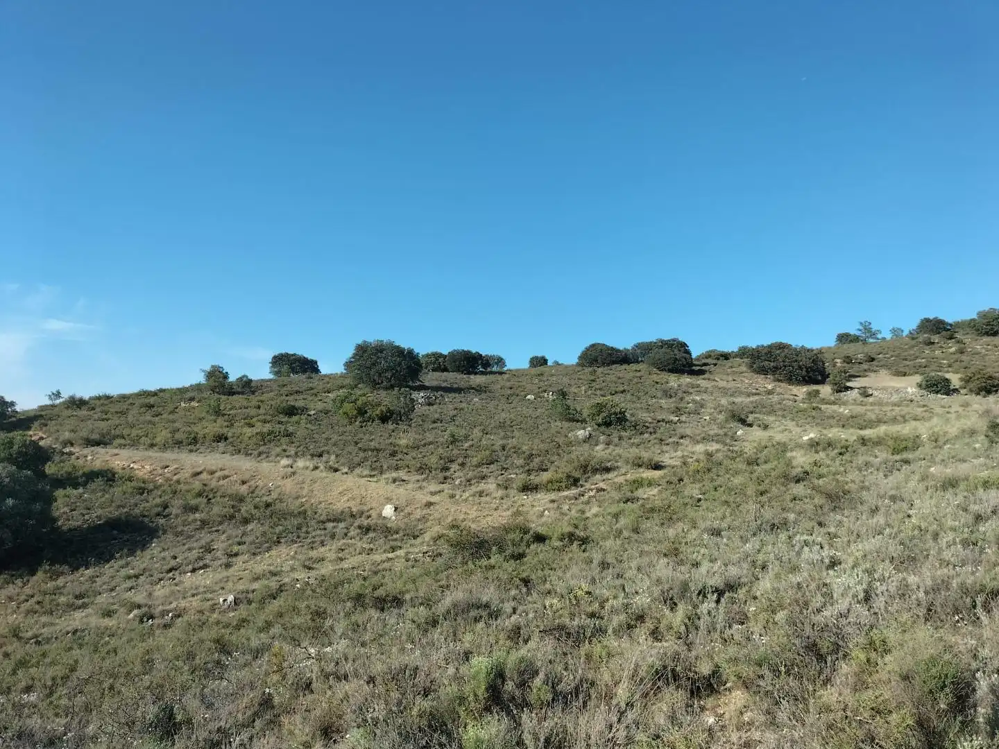 Terreno rustico in vendita a ermita