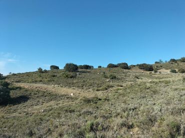 Rural land for sale in ermita