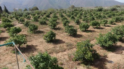 Finca Rúst. en venta en Polígonos., immagine 3