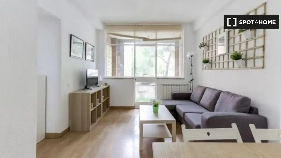 Sala de estar de Piso de alquiler en Madrid con Aire acondicionado, Calefacción y Amueblado