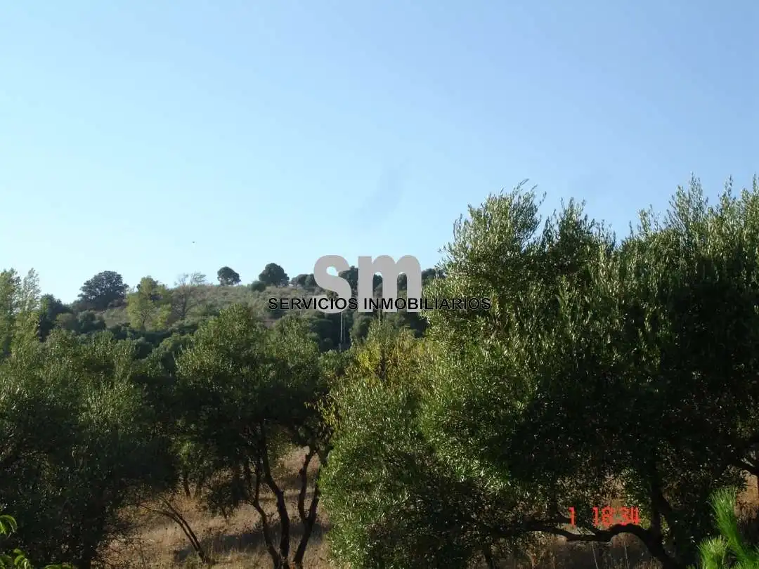 Terreni e lotti in vendita a Ubrique, imagen 19
