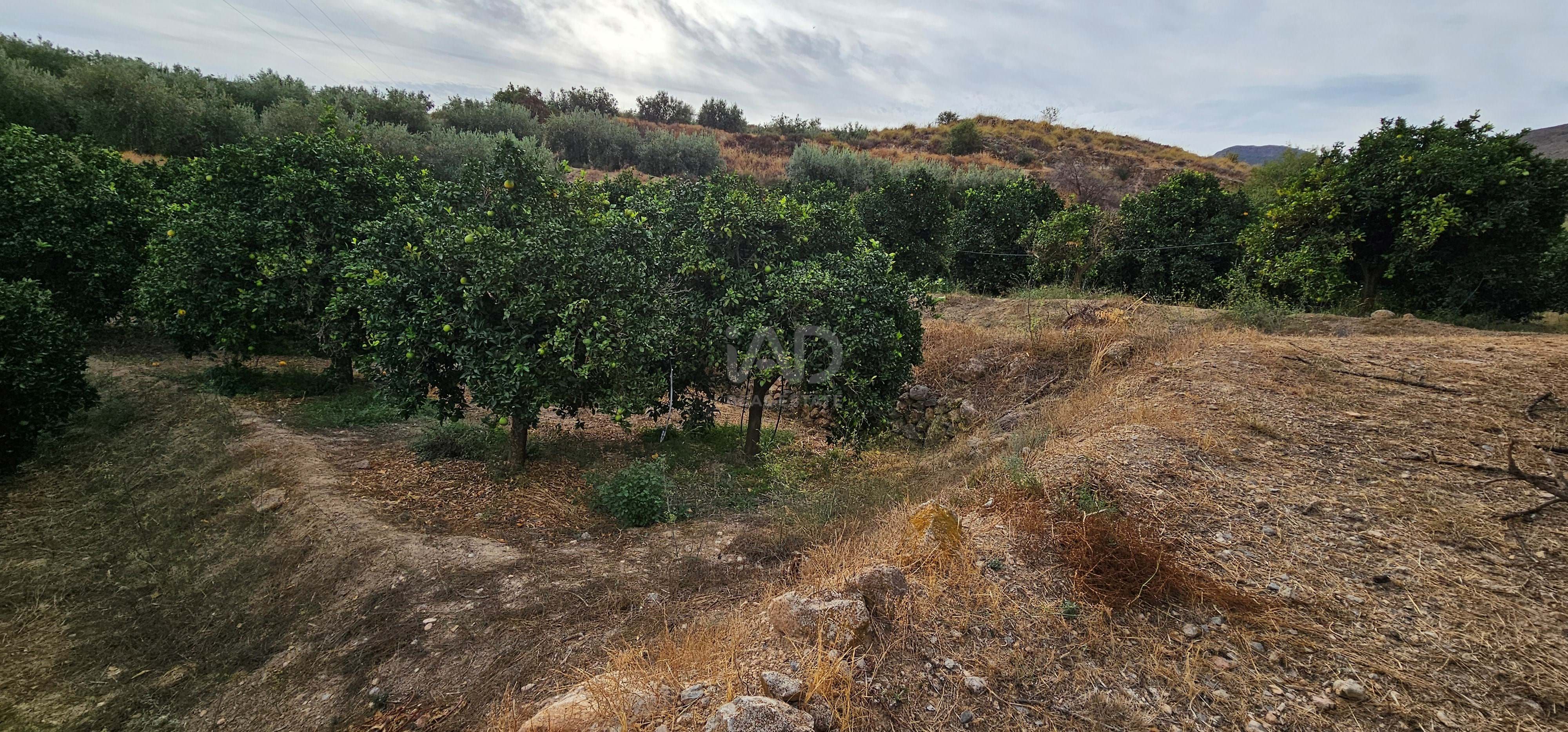 Residencial en venda en Íllar