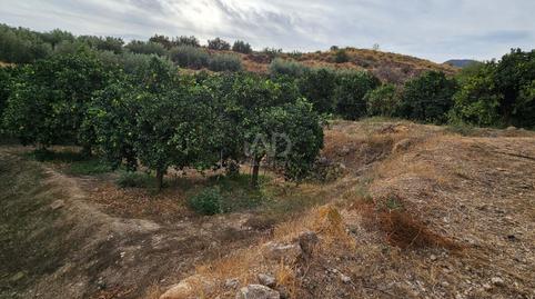 Foto 3 de Residencial en venta en Íllar, Almería