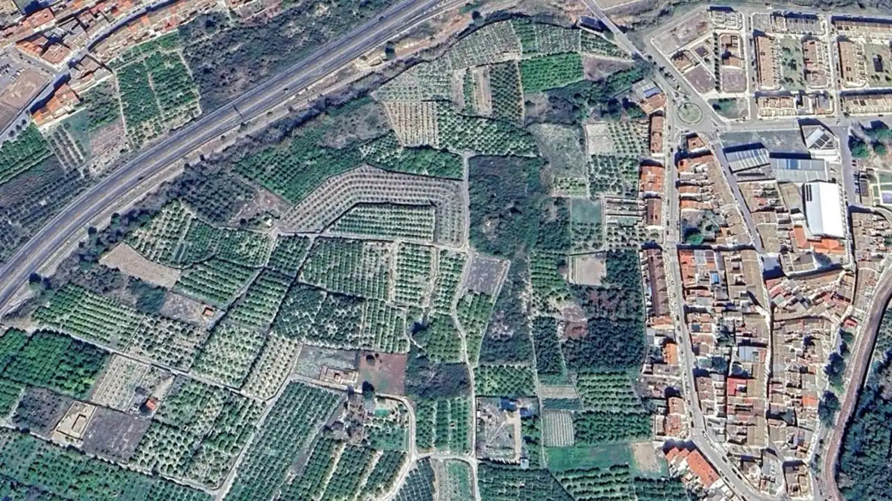 Land for sale in Alfauir