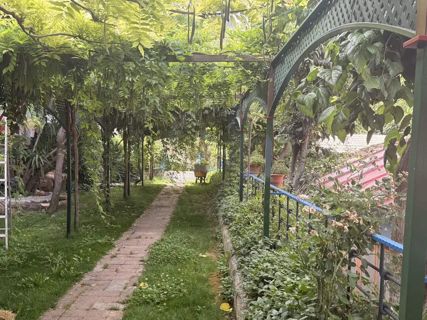 Garden of Country homes for sale in Benatae  with Air Conditioner, Heating and Terrace