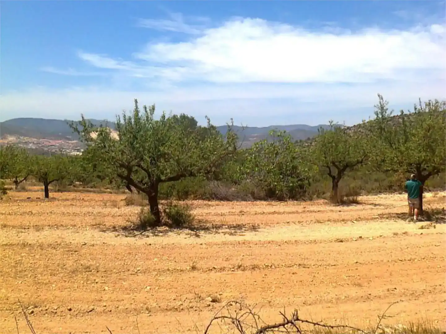 Ground floor for sale in Villar del Arzobispo, Valencia