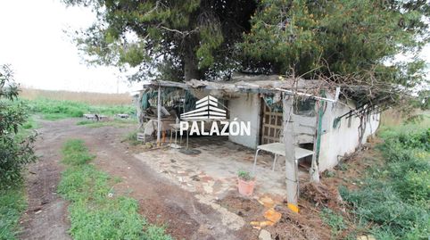 Foto 2 de Finca rústica en venta en Dolores, Alicante