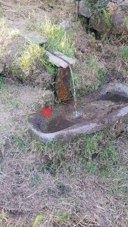Jardí de Casa o xalet en venda en Palas de Rei