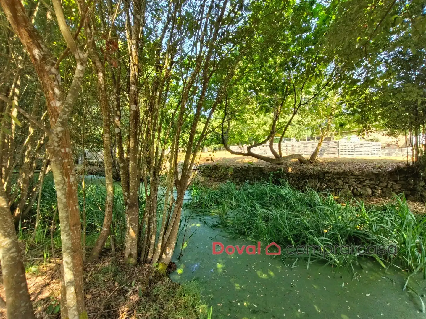 House with garden for sale in Salceda de Caselas, imagen 16