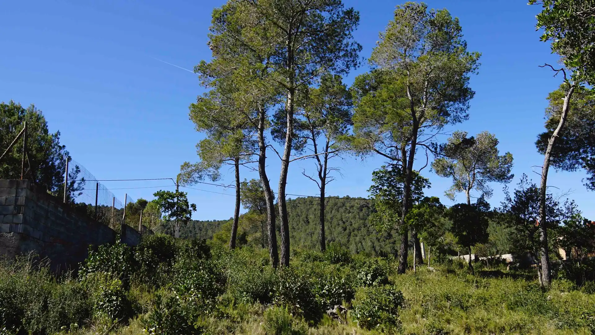 Terreny residencial en venda a Carrer Mare de Déu de l'Estrella 466, imagen 6