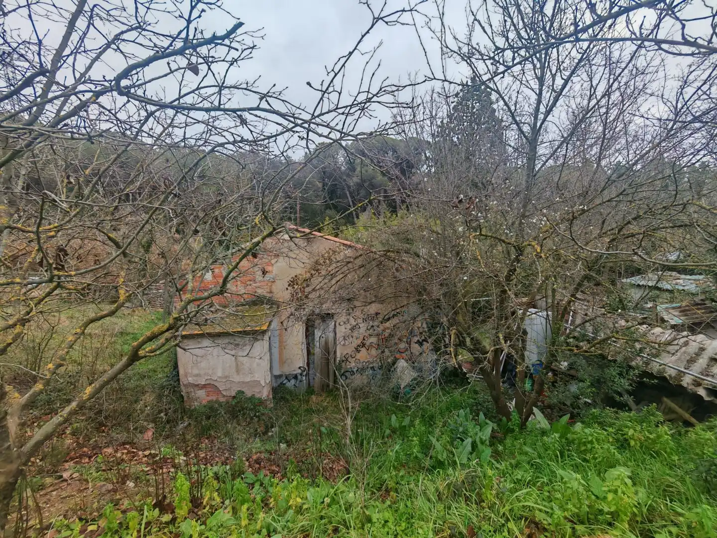 Terreni e lotti in vendita a 7