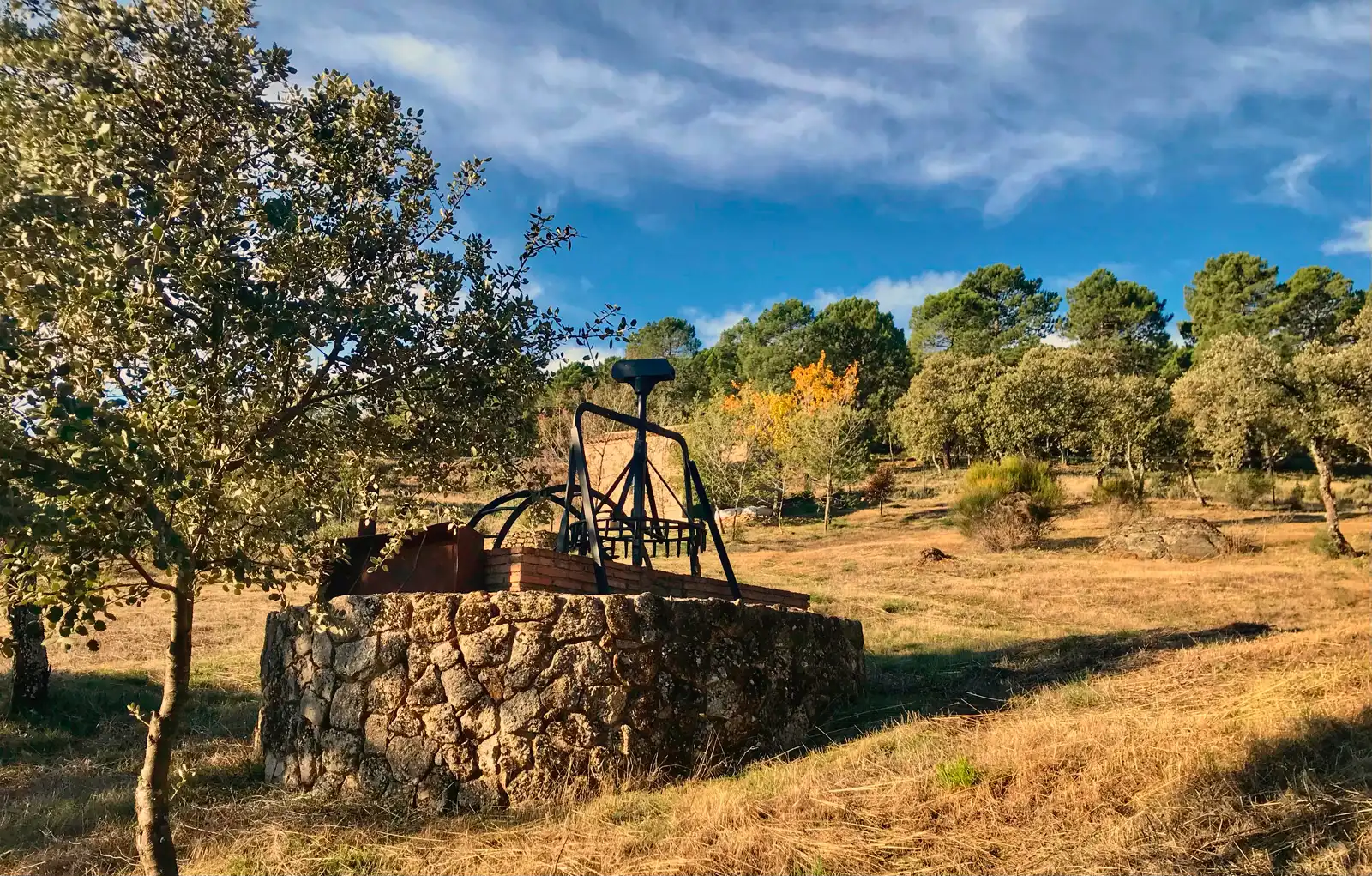 Jardín de Casa o chalet en venta en Los Navalucillos con Aire acondicionado, Calefacción y Jardín privado