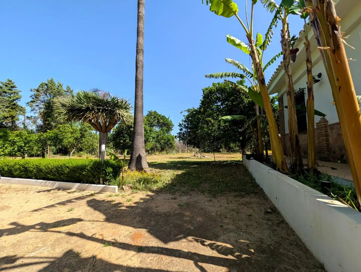 Chalet con jardín en venta en Sanlúcar la Mayor, imagen 27