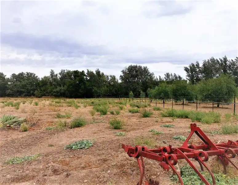 Casa rústica en venda a Carretera Córdoba  Málaga, imagen 44