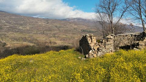 Foto 2 de Terreny en venda a N/a, -1, Casas del Castañar, Cáceres