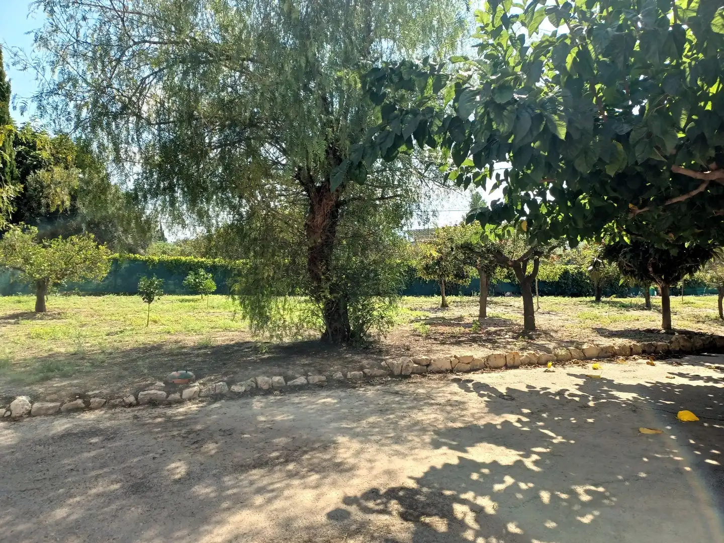 Casa con piscina en venta en Sant Josep - Zona Hospital, imagen 14