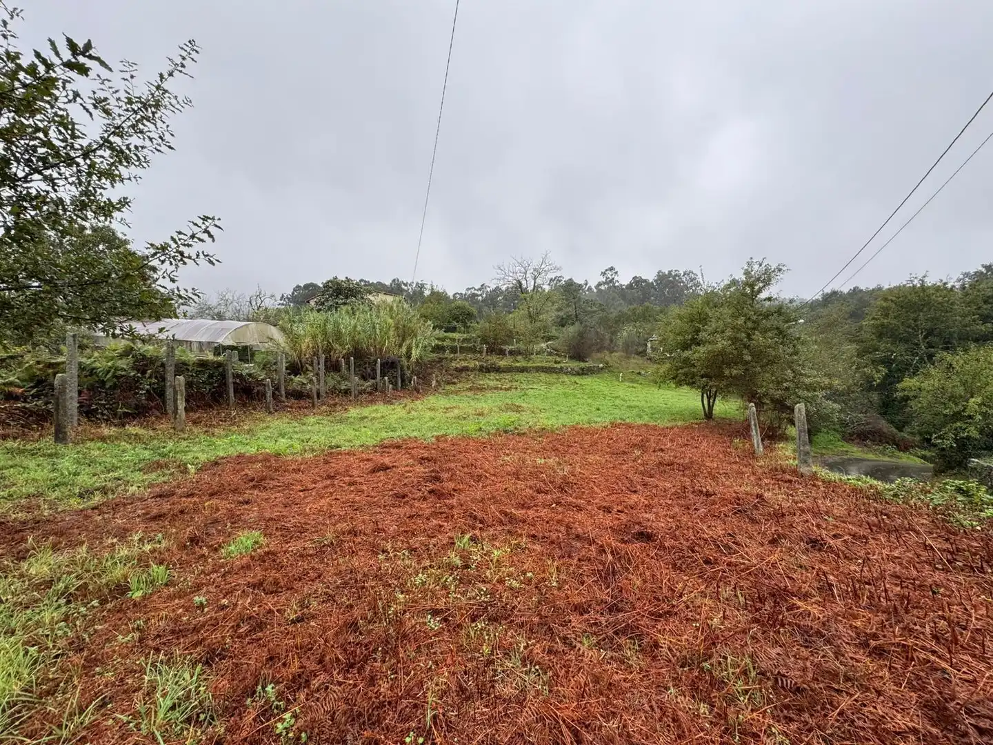 Lands and plots for sale in Soutomaior, imagen 7