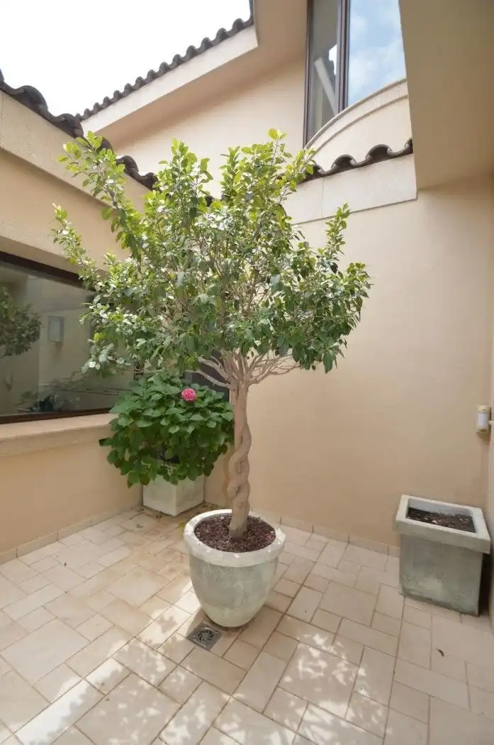 Jardín de Casa o chalet en venta en Amposta con Aire acondicionado, Trastero y Piscina