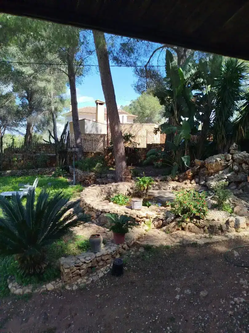 Jardín de Casa o chalet en venta en Alberic con Piscina y Balcón