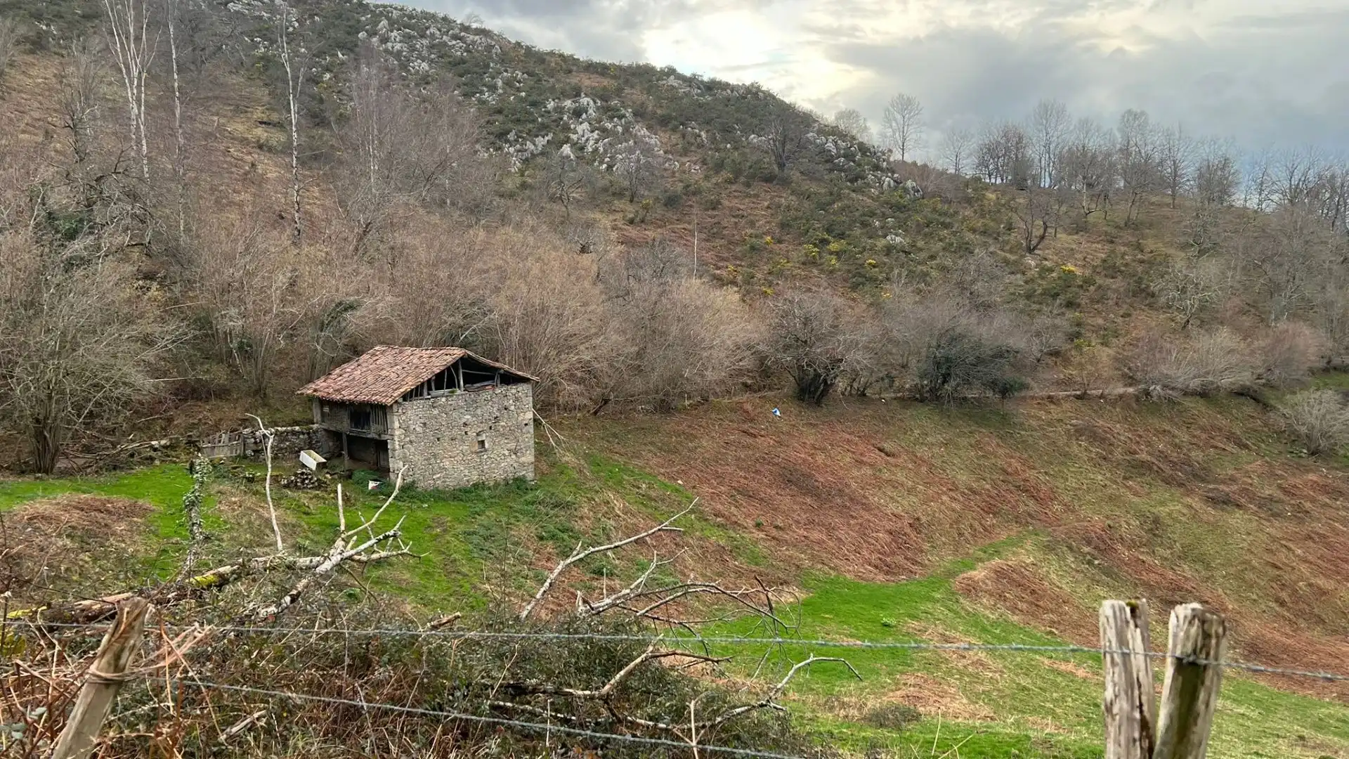 Terreno rustico in vendita a Cangas de Onís