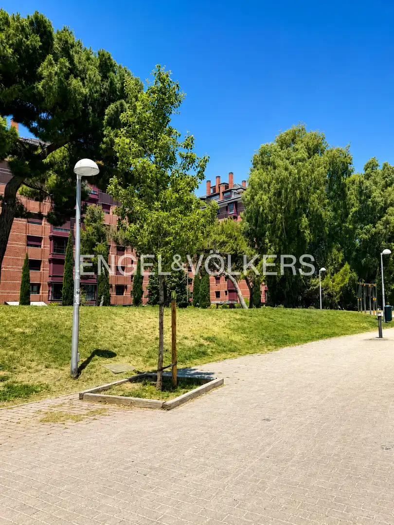 Vista exterior de Apartamento en venta en Madrid con Calefacción y Amueblado