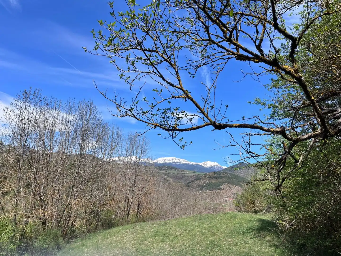 Grundstücke zum Verkauf in Melón