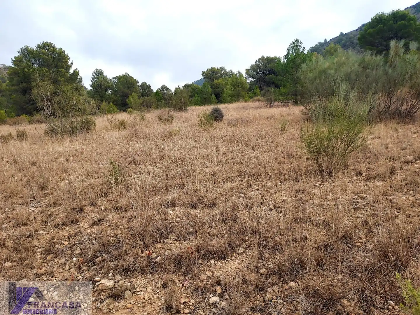 Terrenys i solars en venda a Cieza, imagen 2