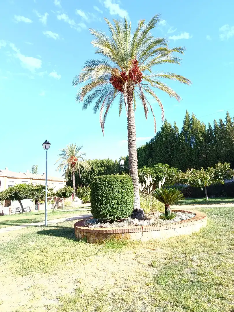 Detached homes for sale in La Guardia de Jaén