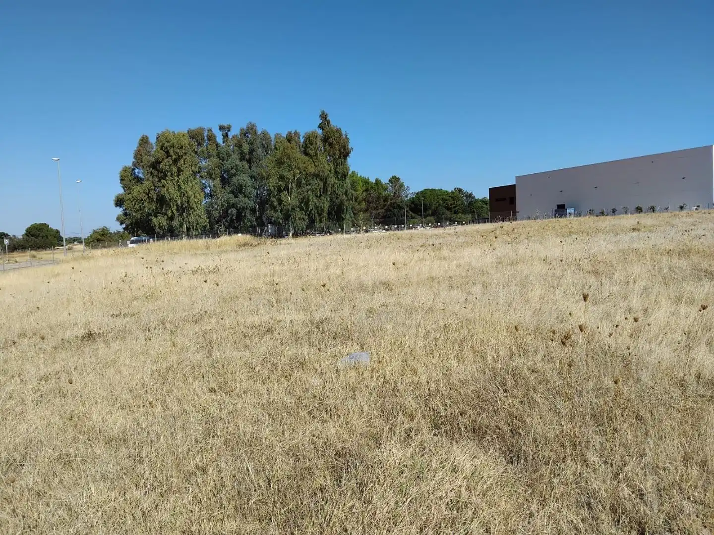 Terreno industrial en venta en Carmona