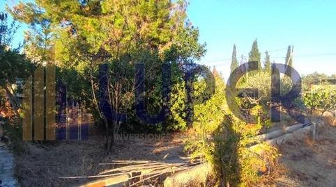 Foto 3 de Residencial en venda a Sol y Luz, Alicante