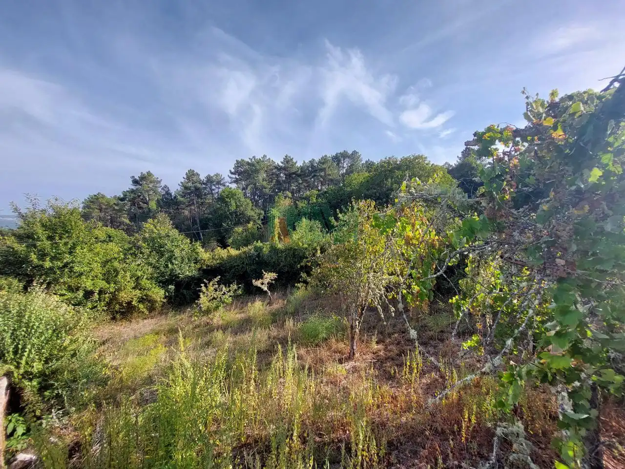Casa o chalet en venta en Punxín con Calefacción, Jardín privado y Terraza