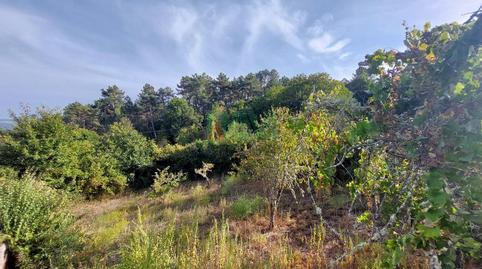 Foto 5 de Casa o xalet en venda a Punxín, Ourense