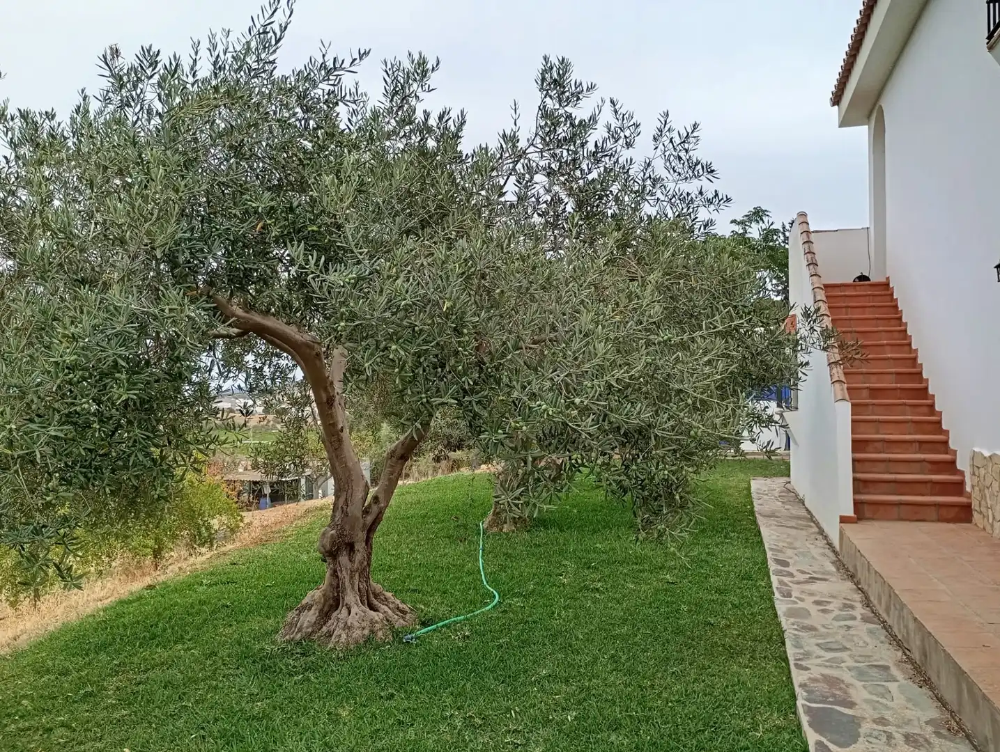 Maison avec piscine à vendre à 18, imagen 47