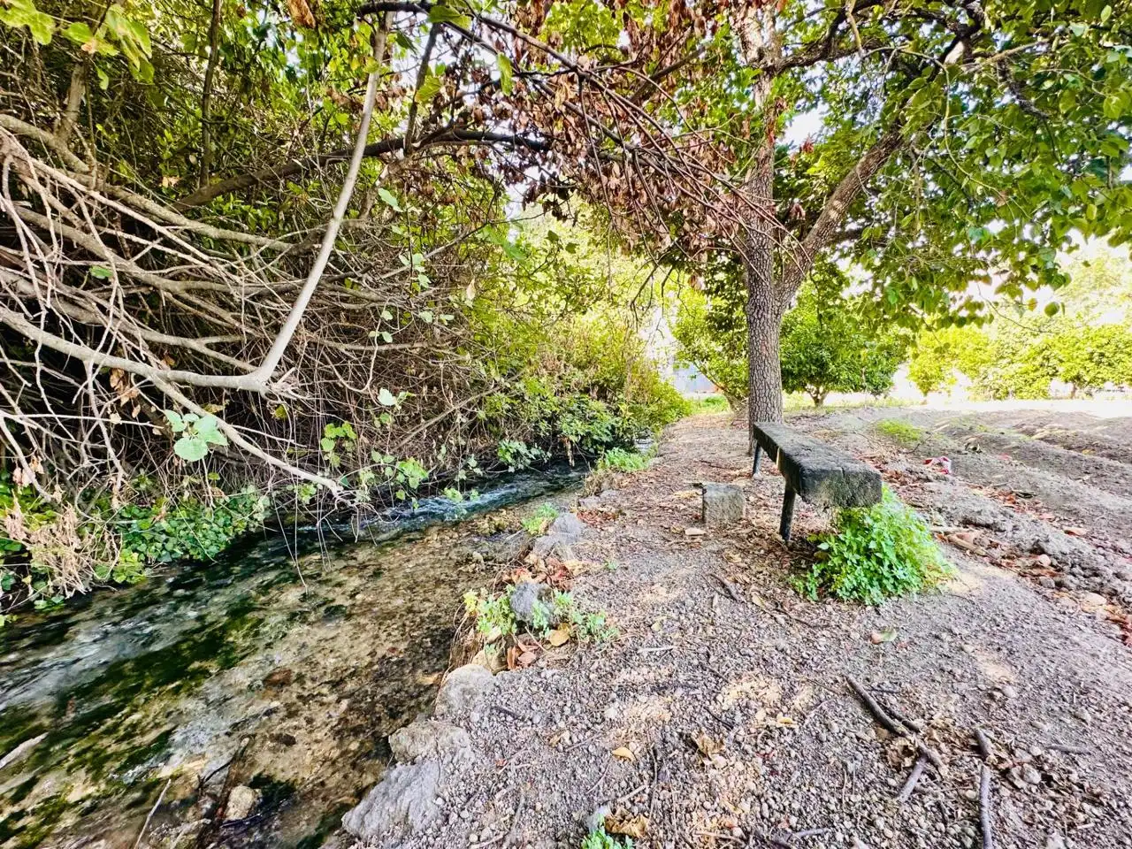 Maison avec piscine à vendre à Arcoplines, imagen 37