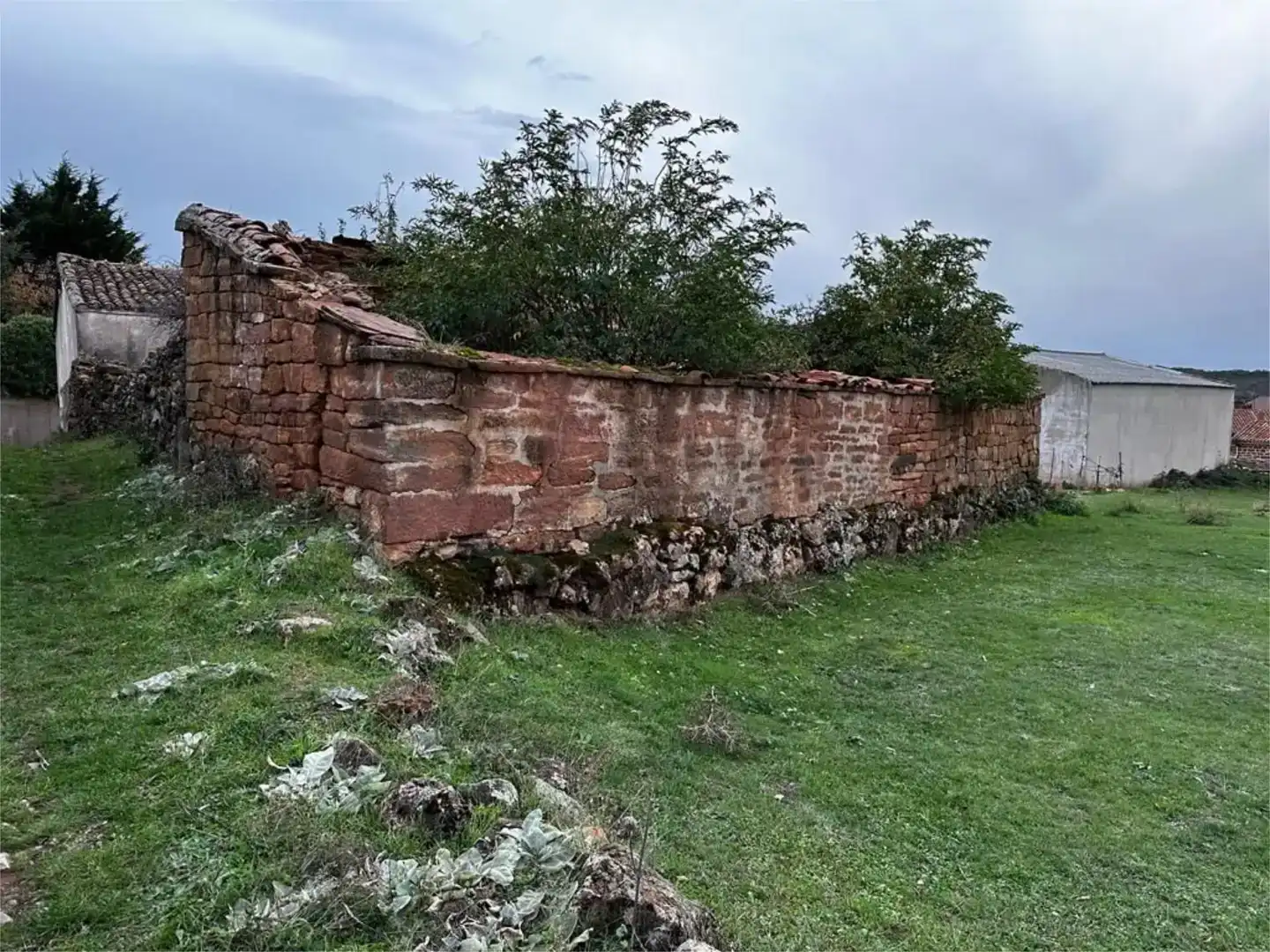 Finca rústica en venda en Palazuelos de la Sierra, Burgos