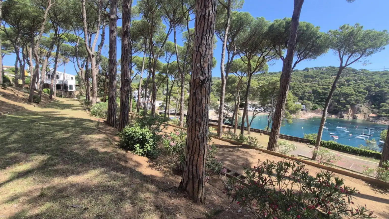 Casa o xalet en venda en Palafrugell