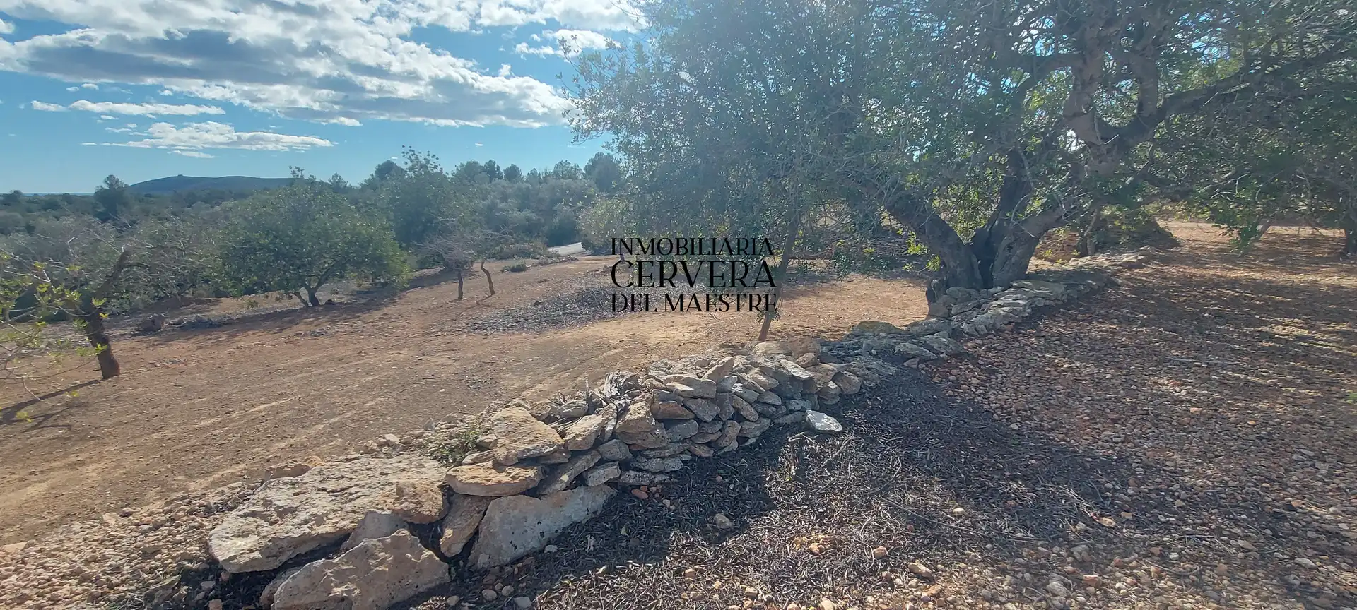 Terreno rustico in vendita a Partidas de interior - Zona Rústica, imagen 4