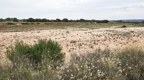Foto 4 de Residencial en venta en Valverde, Elche / Elx