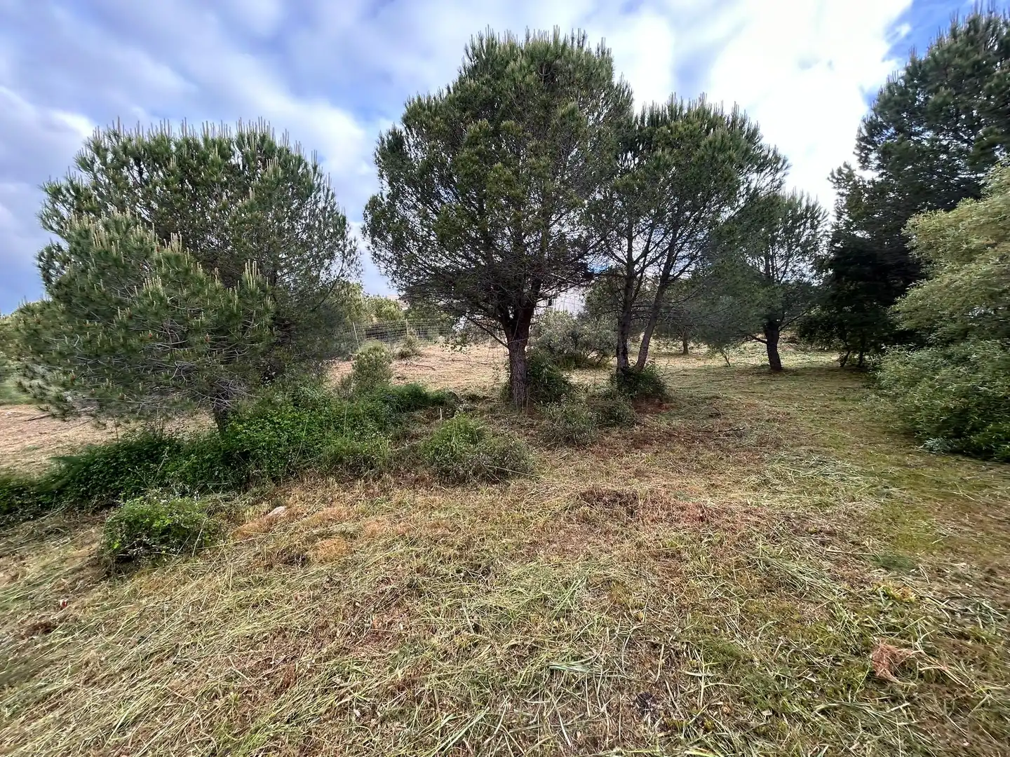 Residencial en venda en Torrelodones